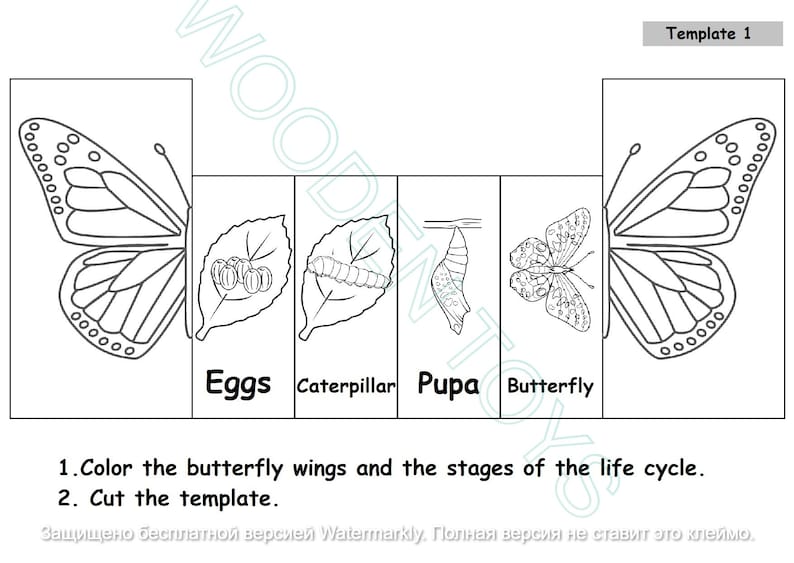 Puede incluir: Ilustraci&oacute;n en blanco y negro de l&iacute;nea de arte de un ciclo de vida de mariposa. Las etapas incluyen huevos, oruga, cris&aacute;lida y mariposa. El texto "Colorea las alas de la mariposa y las etapas del ciclo de vida. Recorta la plantilla." est&aacute; incluido.