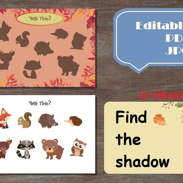 Find the Correct Shadow, Fall Busy book in Ukrainian, Montessori digital Bilingual Ukrainian English Preschool Worksheets Autumn Activities