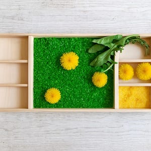 Montessori wooden sorting tray, Tinker tray, Sensory toys, Waldorf toy, Toddler Preschool Homeschool play, Sensory kit, Montessori class