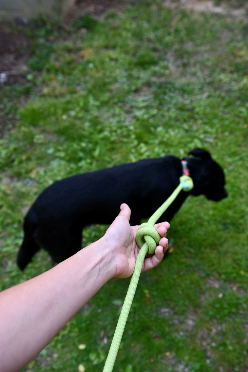 Dog Leash Made From Recycled Climbing Rope Proceeds to Local Etsy
