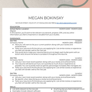 May include: A resume template with a clean, modern design. The document features a header with the name "MEGAN BOKINSKY" and contact information. Sections include Education, Experience, and Skills, with placeholder text for details. Soft pink and green abstract shapes decorate the background.