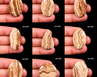 Puede incluir: Una colección de nueve piedras preciosas pulidas en varias formas, incluyendo ovaladas y en forma de lágrima. Las piedras presentan un patrón natural de bandas marrones claras y oscuras. El texto "AG-7251" a "AG-7259" es visible.