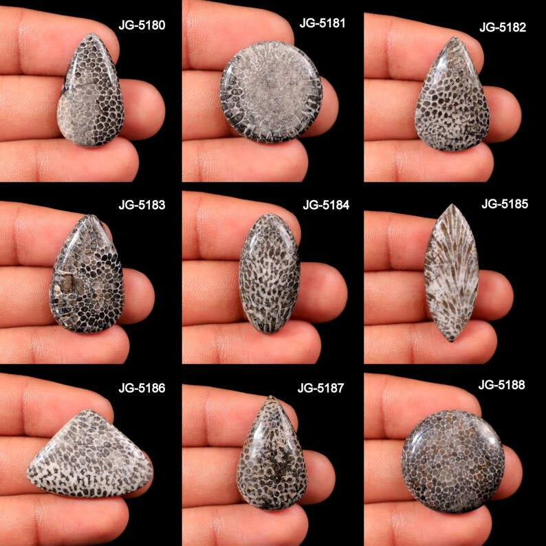 Puede incluir: Una colecci&oacute;n de piedras f&oacute;siles pulidas en varias formas, incluyendo gota, ovalada y redonda. Las piedras muestran un patr&oacute;n distintivo de estructuras celulares negras y grises, con los c&oacute;digos de producto JG-5180 a JG-5188 visibles.