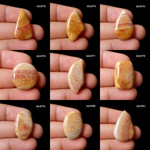 Fossil Coral Stone - Natural Fossil Coral Gemstone - Bi-Color Fossil Coral Stone - Flatback Fossil Coral Round Cabochon For Jewelry Making