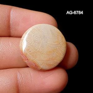 May include: A circular, polished gemstone in cream and light orange hues. The surface features an intricate, textured design. The text "AG-6784" is visible. The gemstone is held in a hand against a black backdrop.