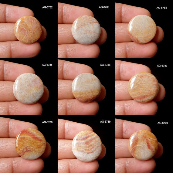 Fossil Coral Stone - Natural Fossil Coral Gemstone - Bi-Color Fossil Coral Stone - Flatback Fossil Coral Round Cabochon For Jewelry Making