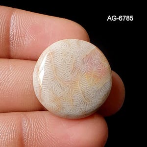 May include: A circular, polished gemstone with a detailed fossilized coral pattern. The stone has a cream base with intricate, light brown and pinkish-orange markings. The text "AG-6785" is visible in the upper right corner.