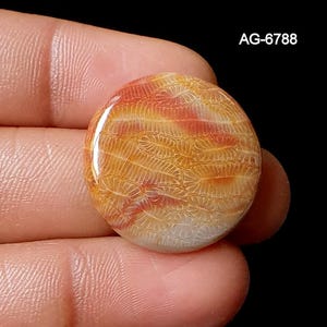 May include: A circular, polished gemstone displaying a distinctive pattern of orange and cream hues. The stone has a glossy finish and a detailed, textured surface. The text "AG-6788" is visible. The gemstone is held in a hand.