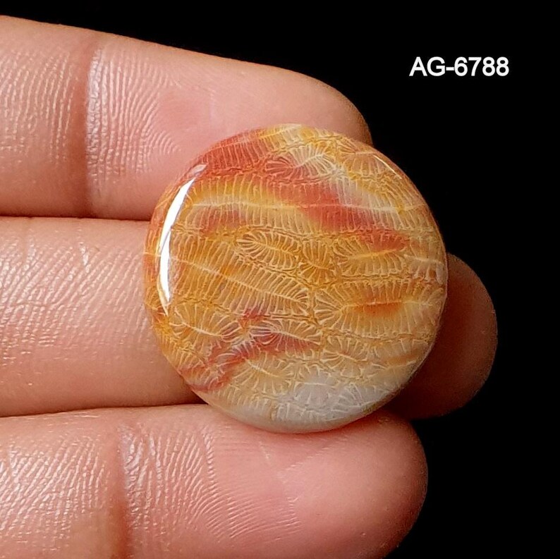 May include: A circular, polished gemstone displaying a distinctive pattern of orange and cream hues. The stone has a glossy finish and a detailed, textured surface. The text "AG-6788" is visible. The gemstone is held in a hand.