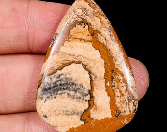 May include: A teardrop-shaped polished gemstone featuring a tan and cream base color with prominent dark brown and black dendritic patterns throughout the surface. The stone is marked with the text JG-9594 in the upper right corner.