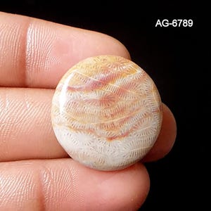 May include: A circular, polished gemstone displaying a fossilised coral pattern. The stone has beige, cream, and reddish-brown tones. The text "AG-6789" is in the top right corner. The stone is held between fingers.