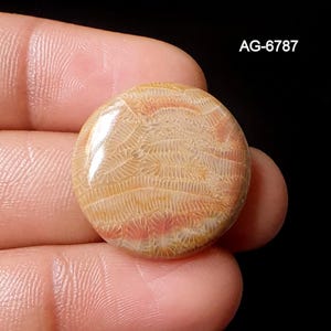 May include: A circular, polished gemstone in shades of beige and peach. The stone has a glossy surface and a natural, organic pattern. The text "AG-6787" is visible in the upper right corner.