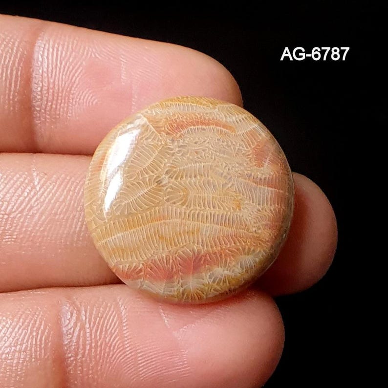 May include: A circular, polished gemstone in shades of beige and peach. The stone has a glossy surface and a natural, organic pattern. The text "AG-6787" is visible in the upper right corner.