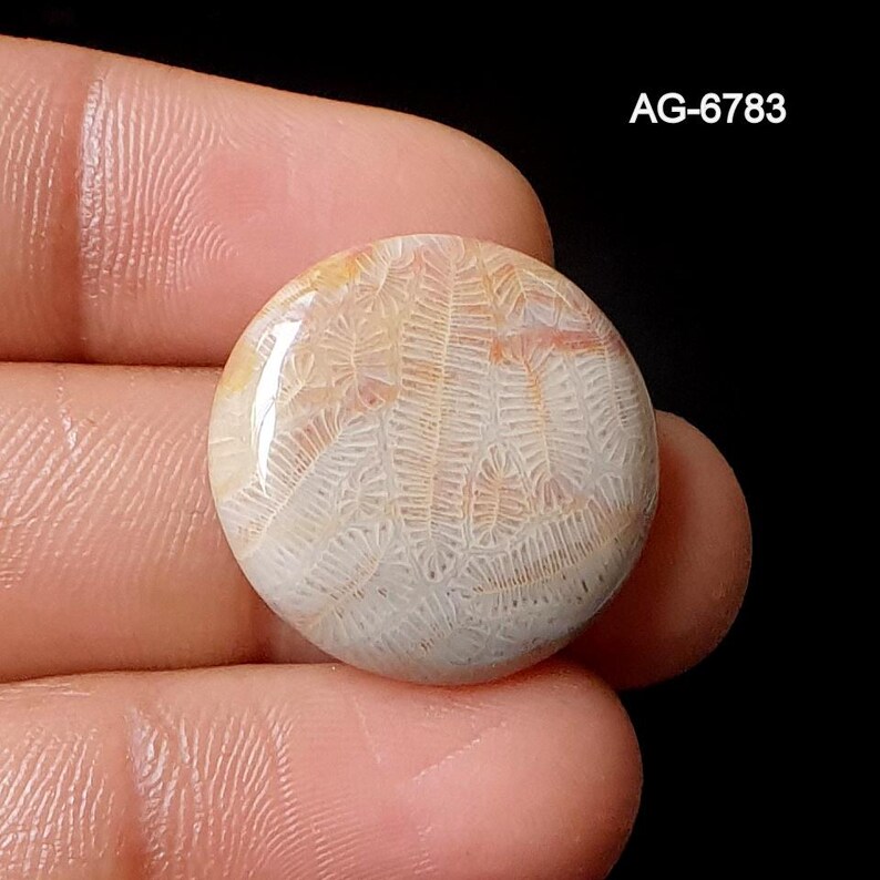May include: A circular gemstone with a polished surface, displaying a natural, textured pattern in cream, beige, and pink hues. The stone is held in a hand against a black backdrop. The text "AG-6783" is visible on the image.