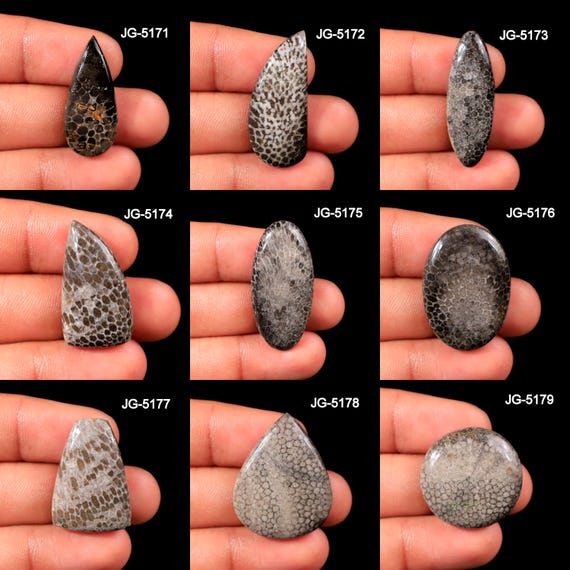 Black Fossil Coral Stone - Natural Black Fossil Coral Gemstone - Flatback Black Fossil Coral Cabochon Black Fossil Coral For Jewelry Making