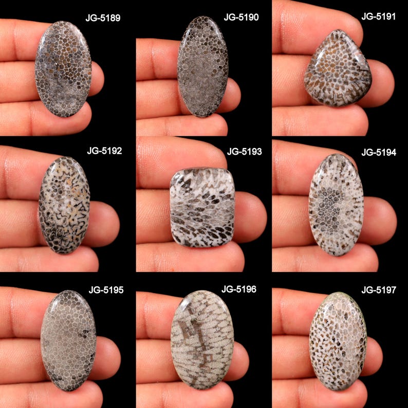 Puede incluir: Una colecci&oacute;n de nueve cabujones de coral fosilizado en varias formas, incluyendo ovaladas, rectangulares y triangulares. Las piedras muestran un patr&oacute;n natural de beige y gris, con estructuras de coral visibles. Cada piedra est&aacute; etiquetada con "JG" y un n&uacute;mero.