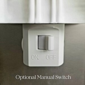 May include: A close-up of a white electrical switch with a gray toggle, labeled "ON" and "OFF". The text "Optional Manual Switch" is below the switch. The background is a light gray color.