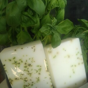 Puede incluir: Dos barras de jabón blancas con motas verdes de hierbas, sobre una maceta de albahaca verde fresca.