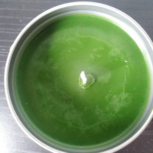 Oak Moss, Lemon Grass, and Eucalyptus Candle