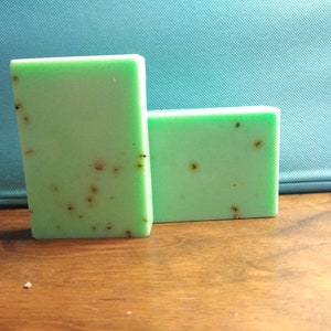 Eucalyptus Mint Soap