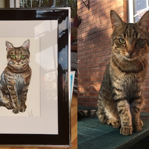 Commissioned Pet Portraits Personal Paintings Par Jocelyn