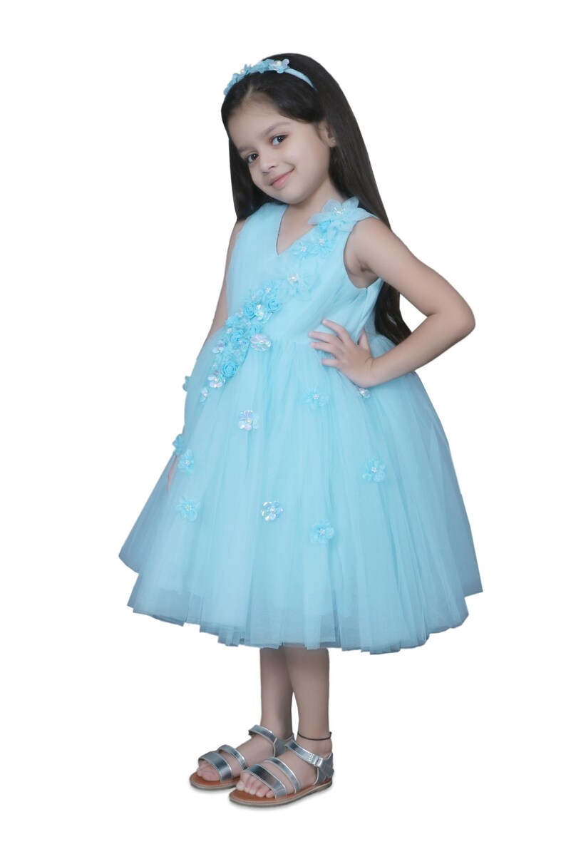 Princess Frock Princess Theme Birthday Frock for Girls - Etsy