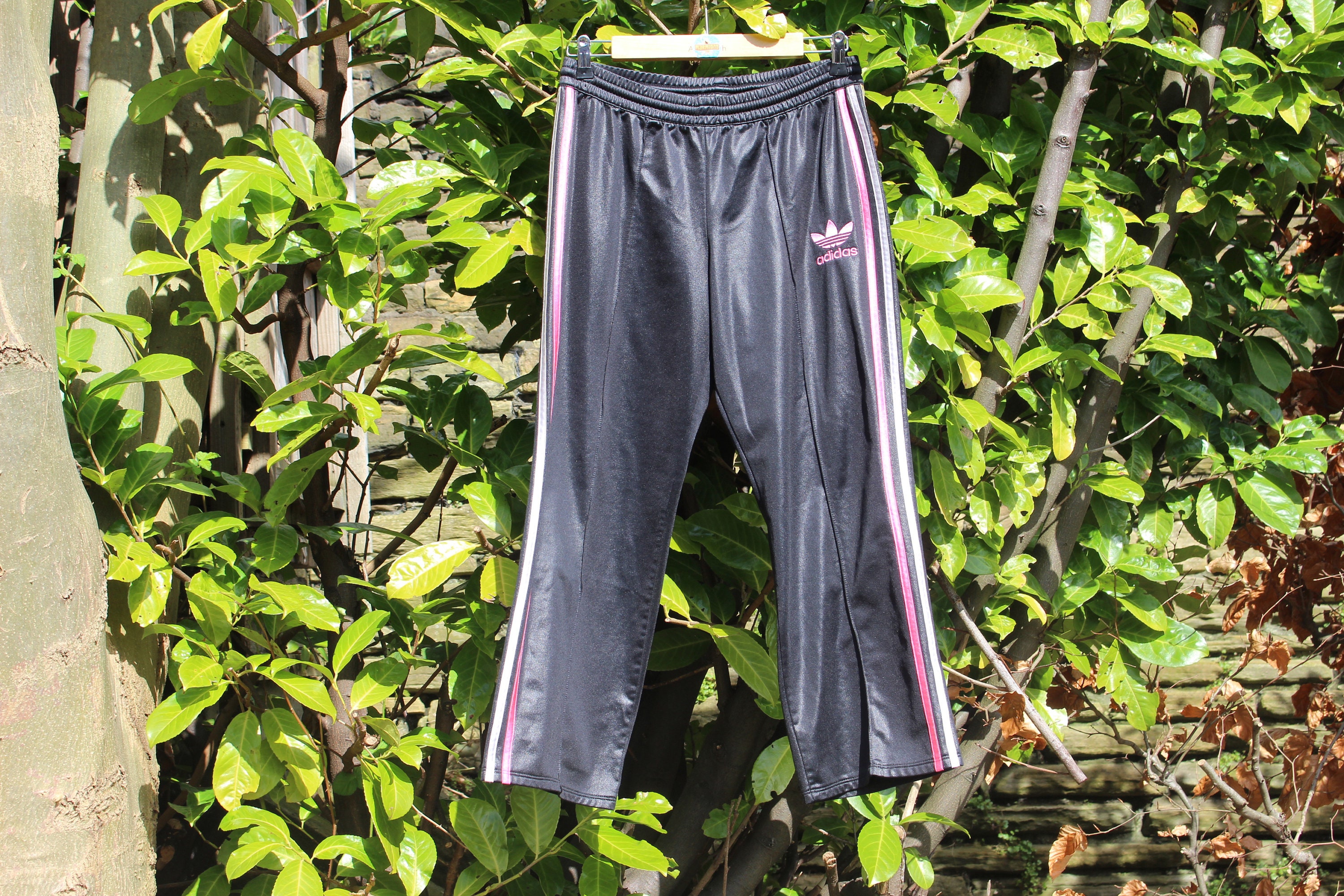 Adidas chile 62 pants 2025