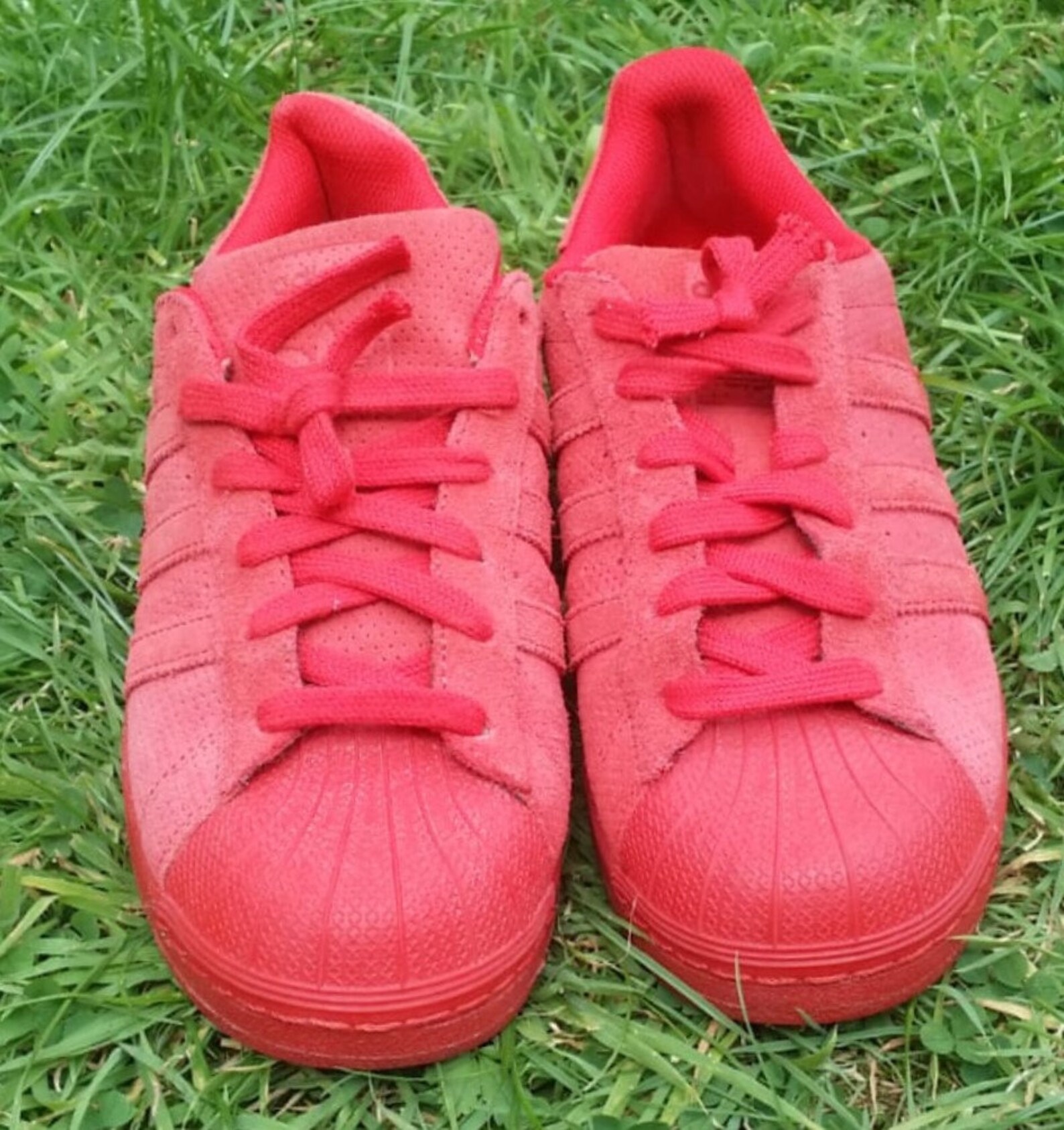 adidas superstar red suede