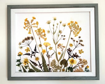Arte enmarcado con flores prensadas reales: Prado de primavera amarillo, decoración botánica