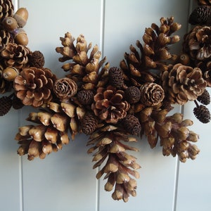 Puede incluir: Una corona de pi&ntilde;as marrones con bellotas y otros elementos naturales. La corona est&aacute; hecha de pi&ntilde;as, bellotas y otros elementos naturales. La corona es de color marr&oacute;n natural.