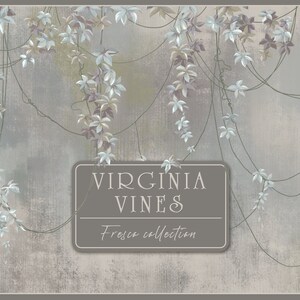 Set of drawn graphic illustrations of a Virginia vines. Floral background for mural, wallpaper, card, poster.