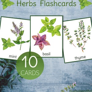 Flashcards imprimables d'herbes. Cartes aquarelle nature.