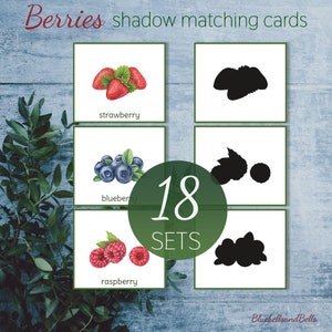 K&ouml;nnte beinhalten: 18 S&auml;tze Schatten-Matching-Karten mit Erdbeeren, Blaubeeren und Himbeeren. Jede Karte zeigt eine farbenfrohe Illustration einer Beere und eine entsprechende schwarze Silhouette.
