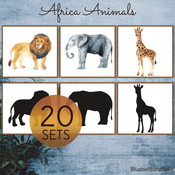 Africa animal shadow matching cards. Montessori toddler printable. Preschool watercolor cards.