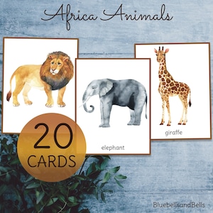 Africa animal flash cards. Watercolor printable toddler and preschool cards.