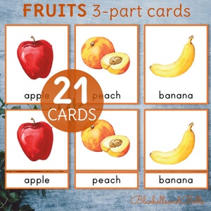 Cartes en trois parties Fruits Montessori. Activité de vocabulaire pour le préscolaire et la maternelle.