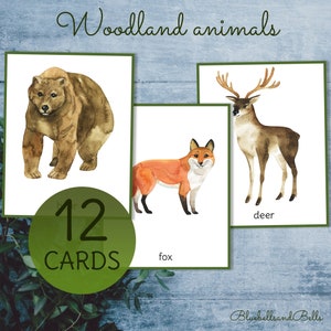 Woodland animal flash cards. Toddler printable watercolor cards. Preschool animal activity.