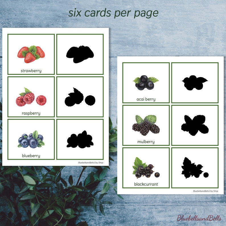 K&ouml;nnte beinhalten: Sechs druckbare Karten mit Illustrationen verschiedener Beeren, darunter Erdbeere, Himbeere, Blaubeere, A&ccedil;ai-Beere, Maulbeere und schwarze Johannisbeere. Jede Beere ist mit einer Silhouette der gleichen Beere gepaart.