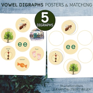 Digraph posters Vowels. Montessori Green series Phonics matching activity.