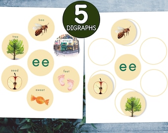 Digraph posters Vowels. Montessori Green series Phonics matching activity.