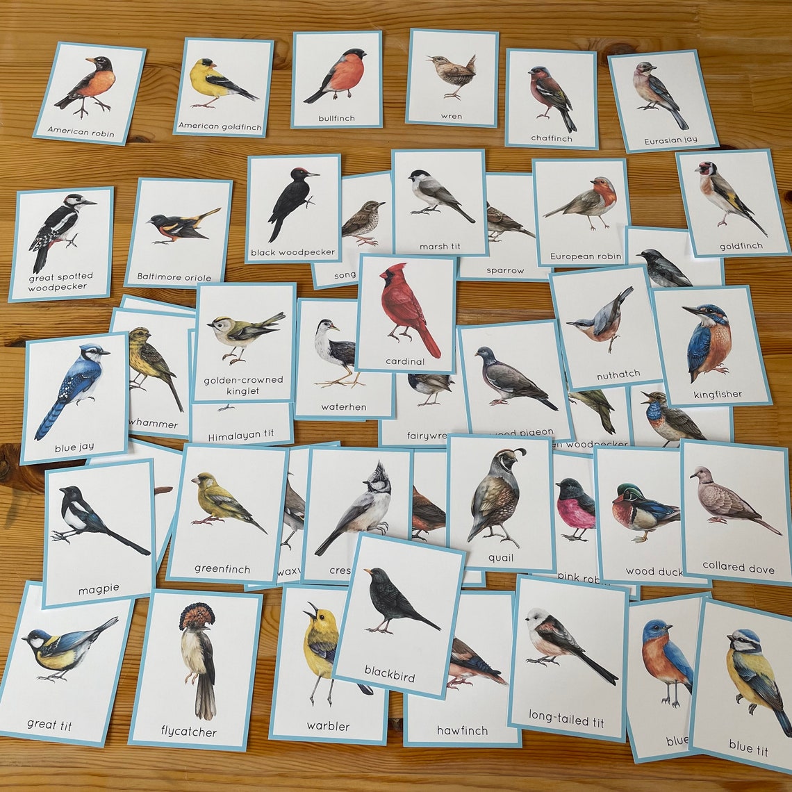 Birds Identification Printable Flash Cards. Montessori Preschool and ...