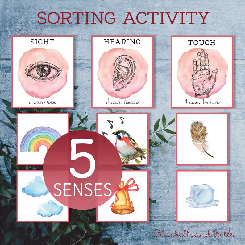 Five Senses Sorting Activity. Kids Printable Game. - Etsy