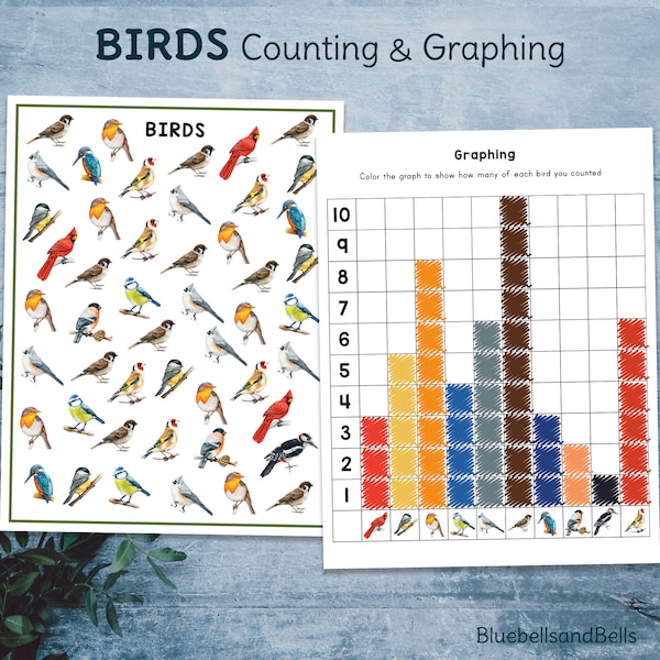 Birds preschool graphing. Spring Montessori math printable for kindergarten.