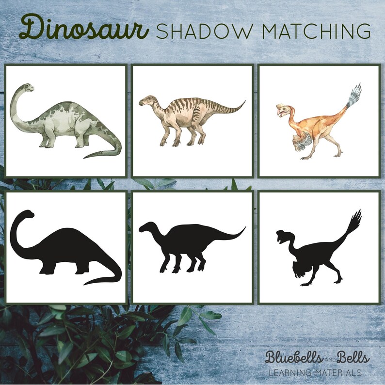Montessori Printable Dinosaur Shadow Matching Cards. Toddler Matching ...