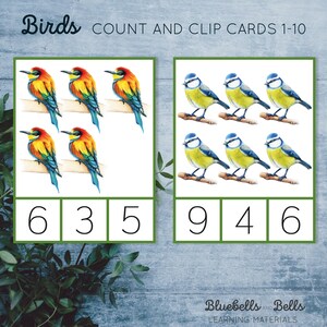 Birds Count and Clip Cards 1-10. Spring Montessori Printable. Preschool ...
