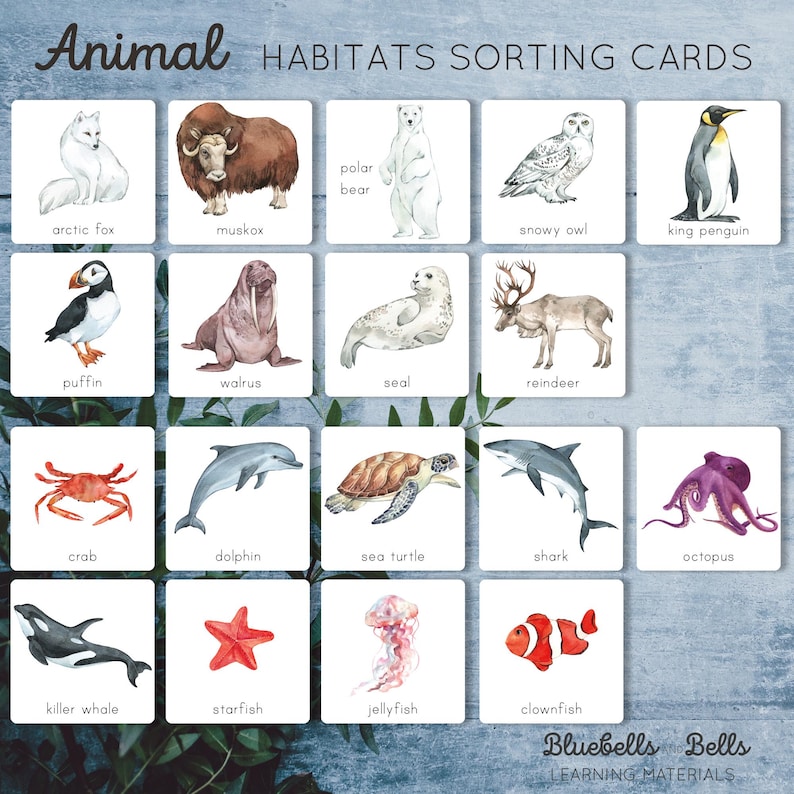 Animal Habitats Sorting Activity and Chart. Montessori Preschool and ...
