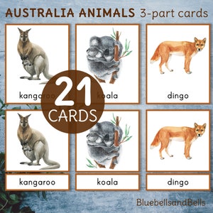 Australia Oceanía animales Montessori imprimibles tarjetas de 3 partes. Actividad de vocabulario para preescolar y jardín de infantes.