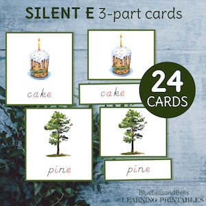 モンテッソーリ グリーン シリーズ 3 部構成のカード。Silent E の印刷可能なアクティビティ。