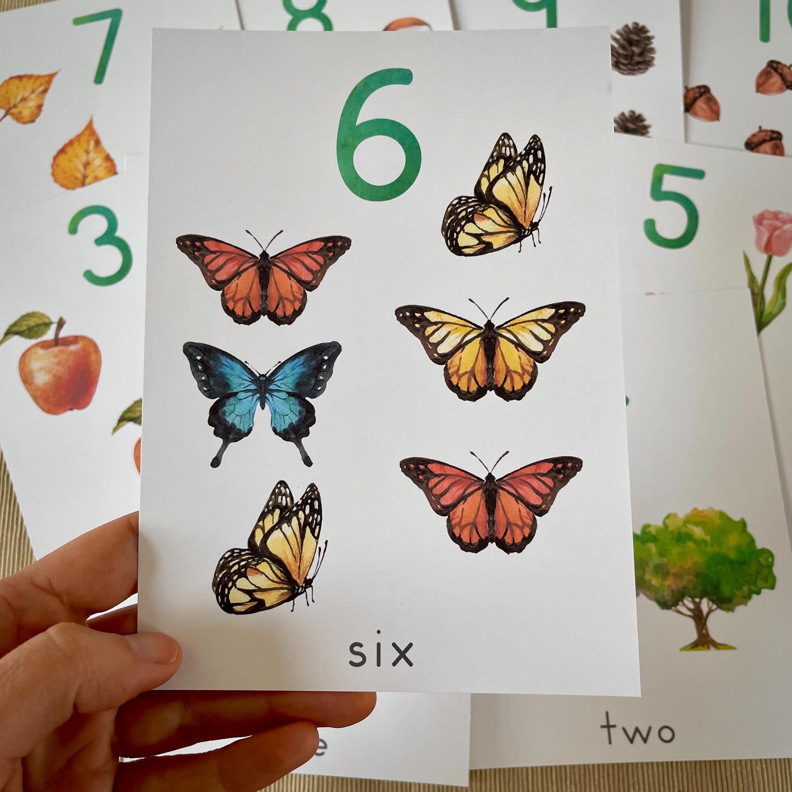 Tarjetas de números de la naturaleza del 1 al 10. Tarjetas de conteo ...