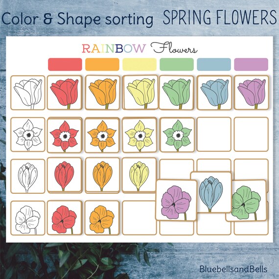 Spring Flower Color Sorting Printable. Montessori Matching Etsy